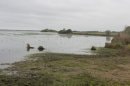 Lac de Grand-Lieu